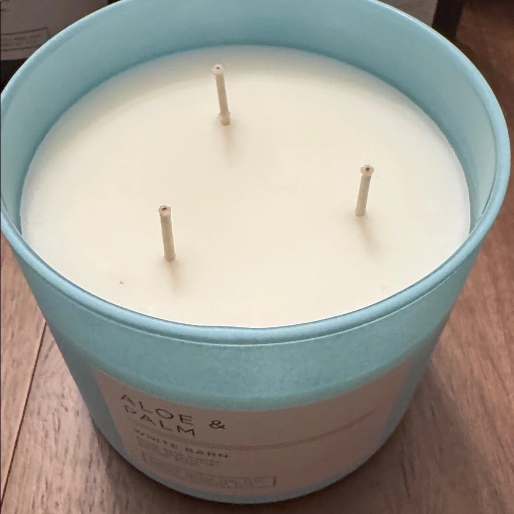 BBW New 3-Wick Candle, Aloe & Palm, White Barn - Discontinued